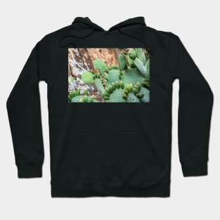 Cactus. Hoodie